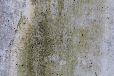 Similar image 13115783