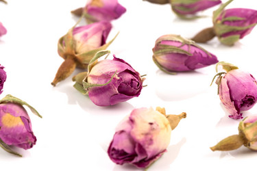 Similar image 13115784