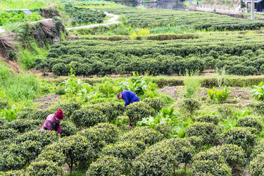 Similar image 13125105