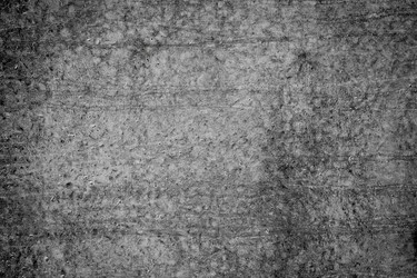 Similar image 13115839