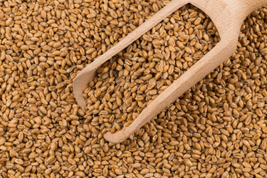 Similar image 13115882