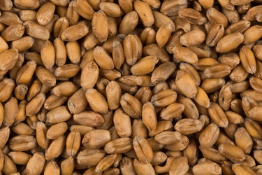 Similar image 13115895