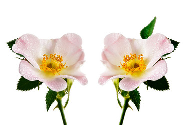 Similar image 13117689