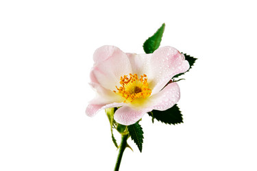 Similar image 13117690