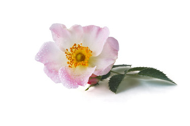 Similar image 13117692