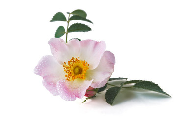 Similar image 13117693