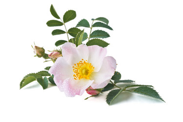 Similar image 13117694