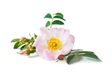 Similar image 13117695