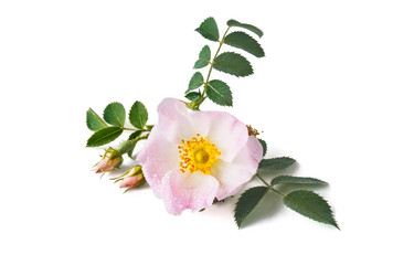 Similar image 13117696