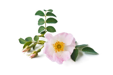 Similar image 13117698