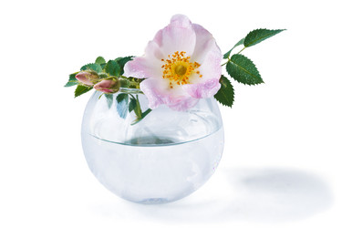 Similar image 13117699