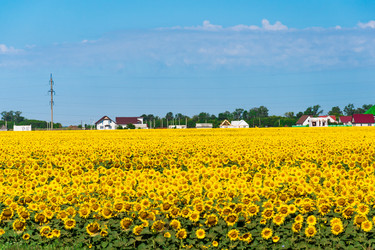 Similar image 13132342