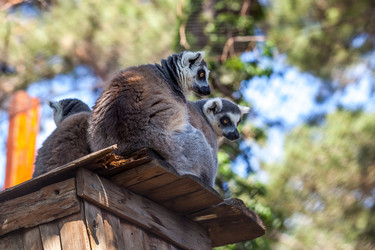 Similar image 13144724