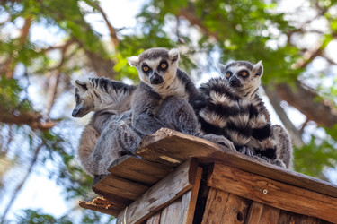 Similar image 13144760