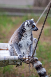 Similar image 13144779