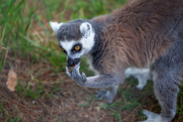 Similar image 13144800