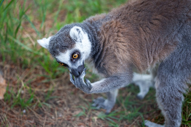 Similar image 13144819