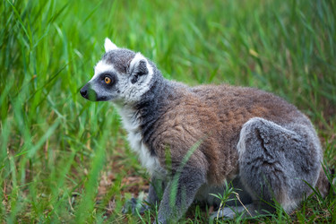 Similar image 13144836