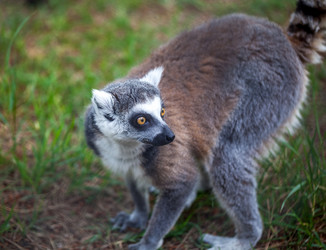 Similar image 13144837