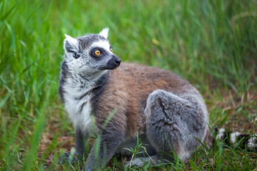 Similar image 13144839