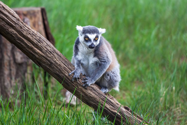 Similar image 13144840