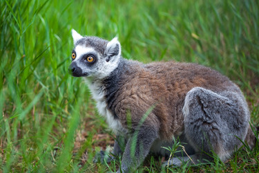 Similar image 13144841