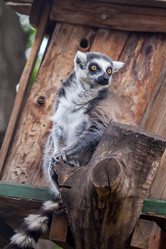 Similar image 13144842