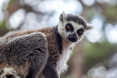 Similar image 13144843