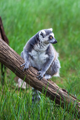 Similar image 13144844