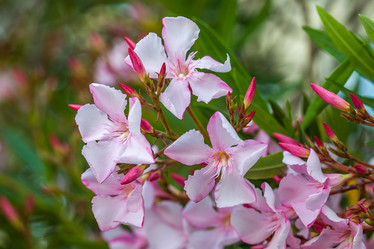 Similar image 13144845