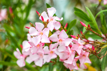 Similar image 13144846