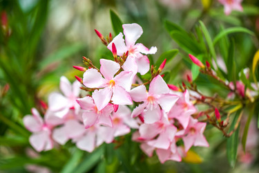 Similar image 13144847