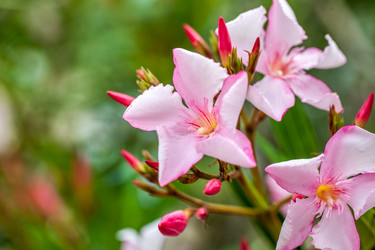 Similar image 13144848