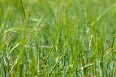 Similar image 13144849