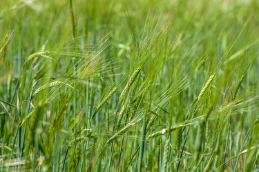 Similar image 13144850