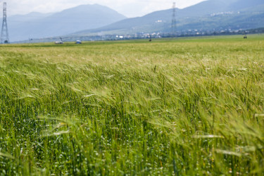 Similar image 13144851