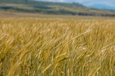 Similar image 13144852