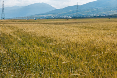 Similar image 13144853