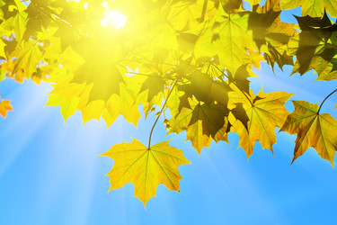 Similar image 13137483