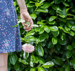 Similar image 13119588