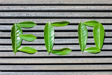 Similar image 13119590