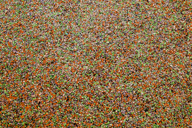 Similar image 13119567