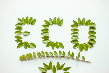 Similar image 13119597