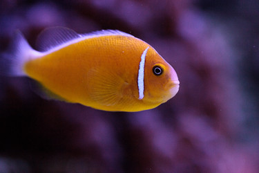 Similar image 13143455