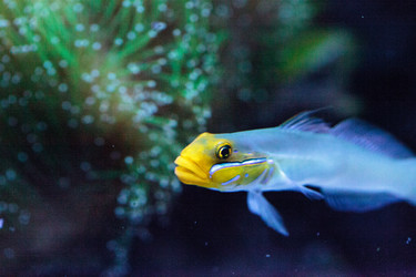 Similar image 13143456