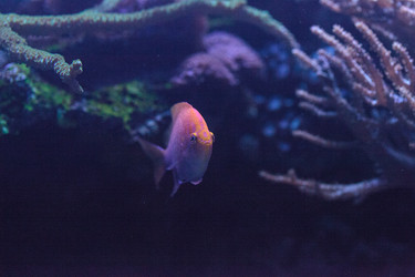 Similar image 13143457