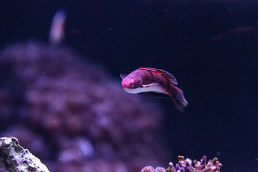 Similar image 13143494