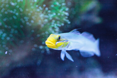 Similar image 13143496