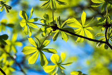 Similar image 13117053