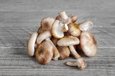 Similar image 13120452